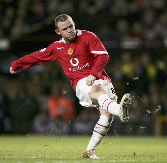 更发现和培 更发现和培